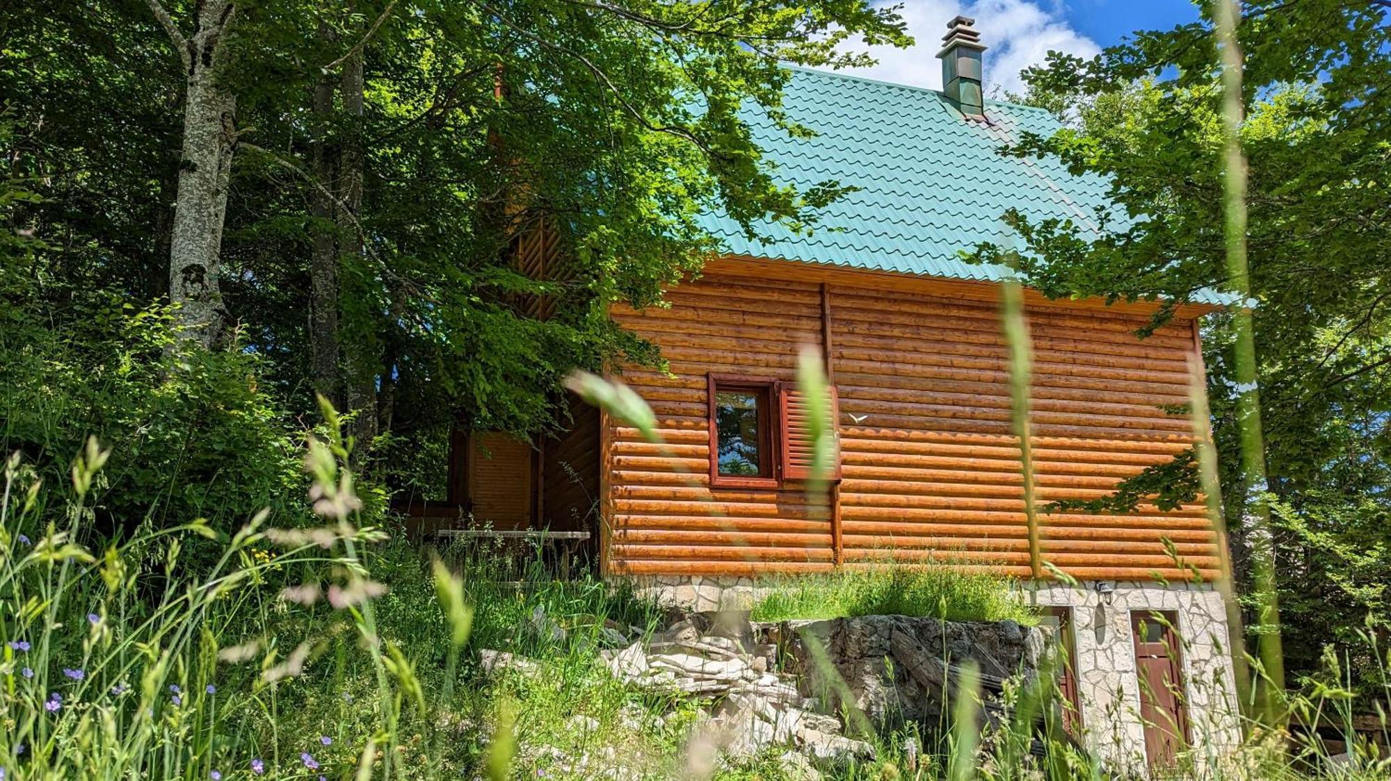 Apartments Nikcevic Zabljak Exterior photo
